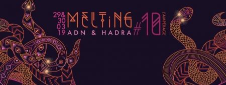 Melting #10 - ADN vs HADRA - Double Nuit Psychédélique